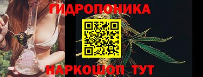 кокс Кунгур