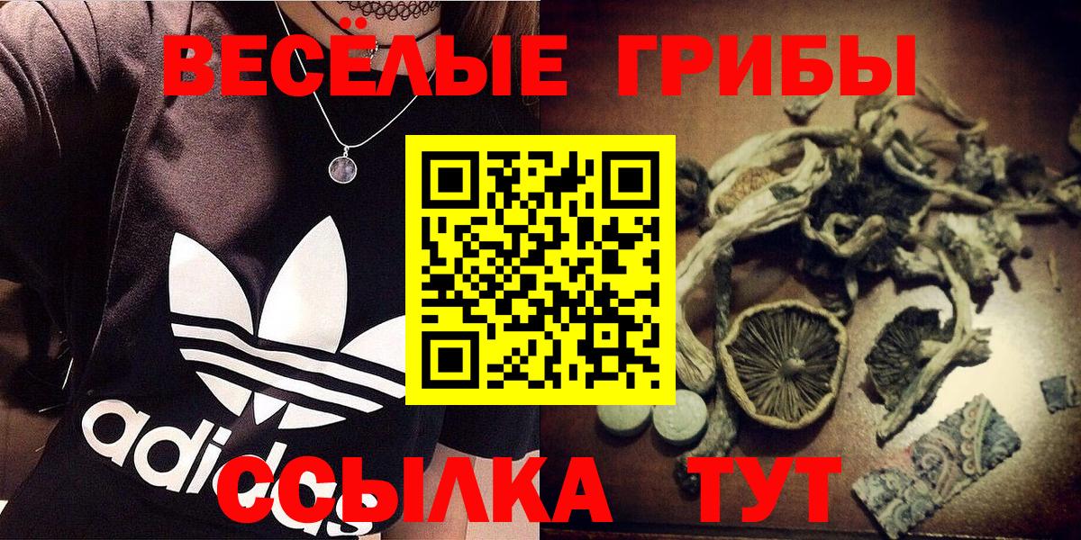 Елец  Псилоцибиновые грибы ЛСД  продажа наркотиков  Вход с VPN  Псилоцибиновые грибы ЛСД 