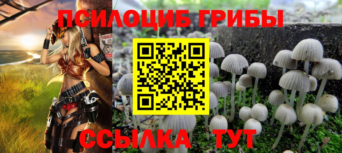 Псилоцибиновые грибы GOLDEN TEACHER Елец